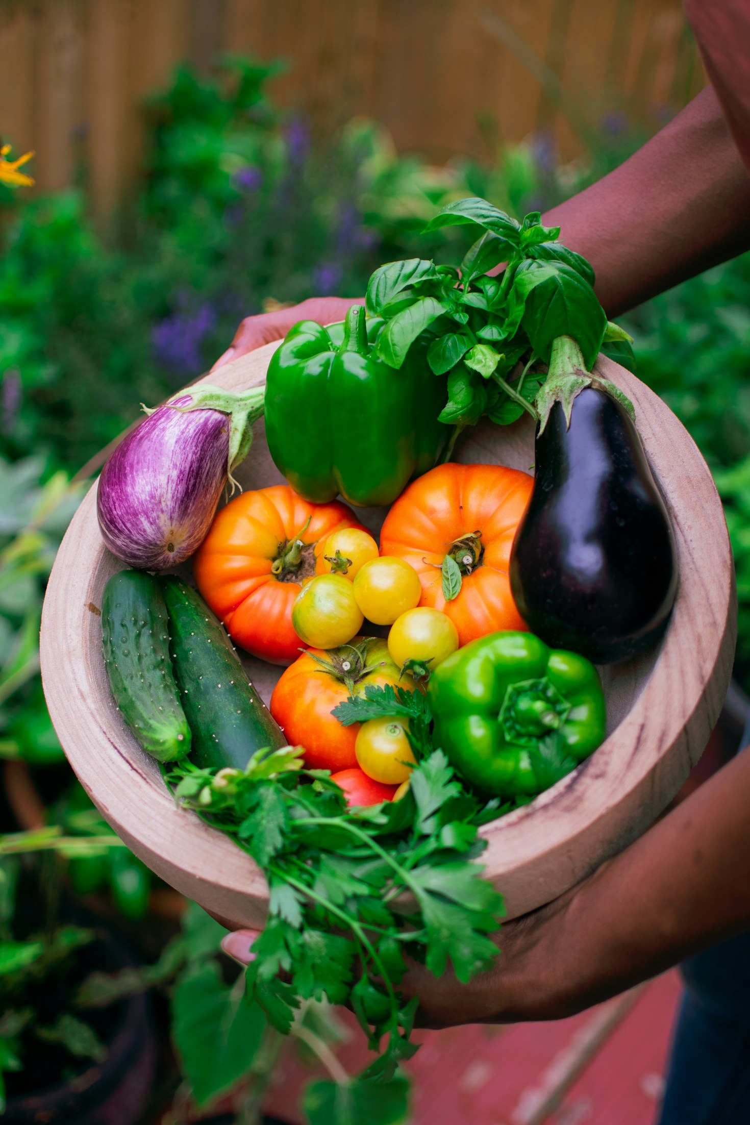Come l’agricoltura sostenibile sta cambiando il Matese