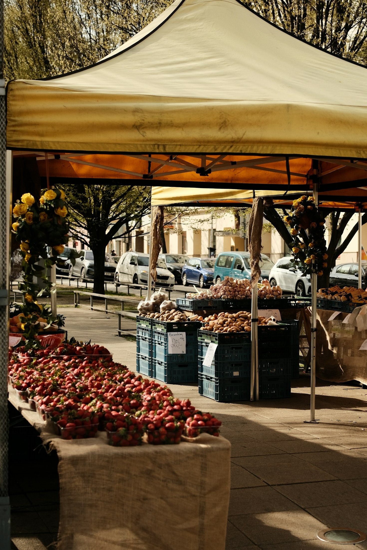 Percorsi gastronomici nel territorio matesino
