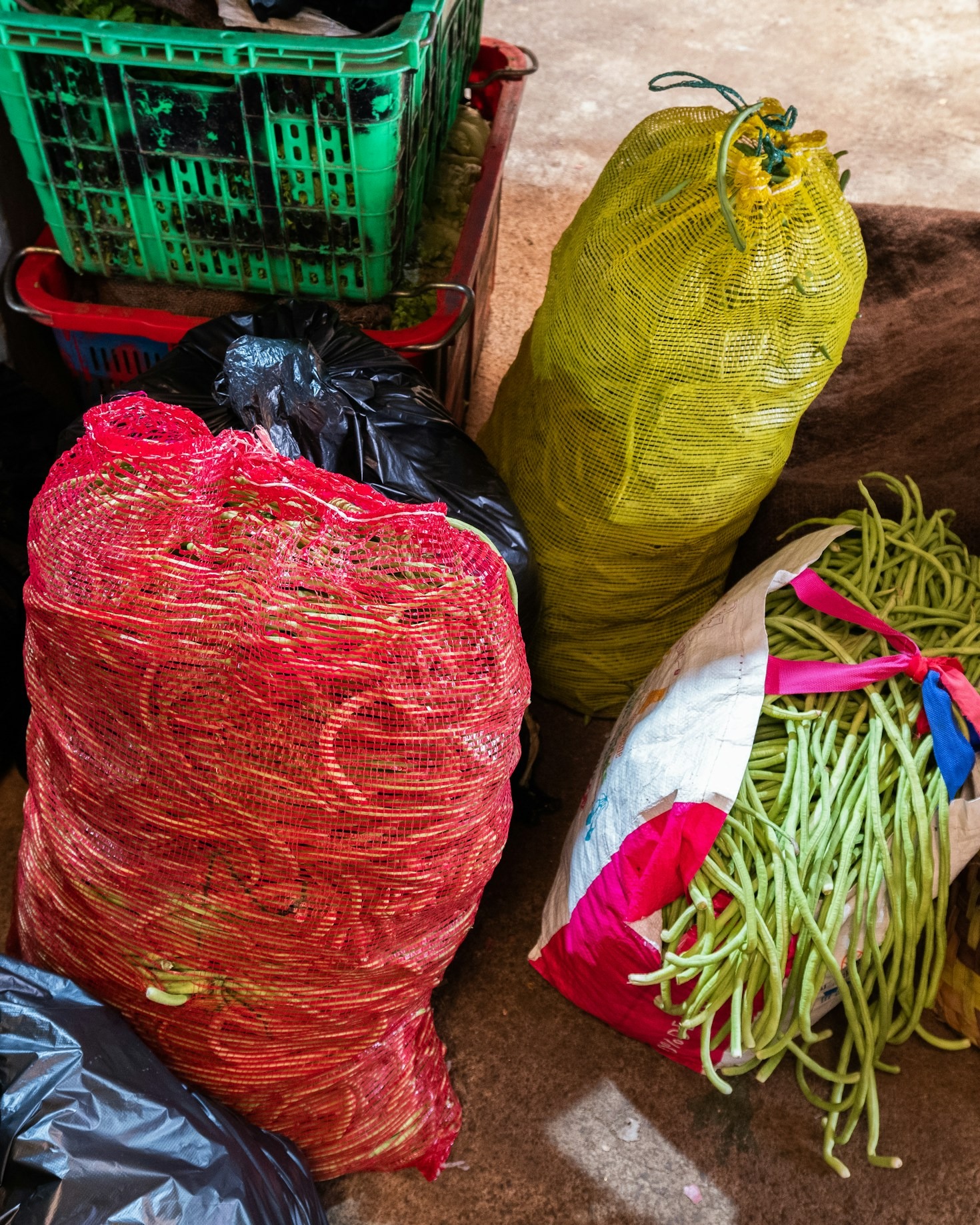 Innovazioni tecnologiche nell’agroalimentare matesino